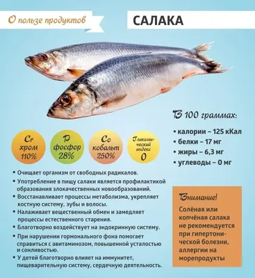 Салака 16+ LANSI Финляндия с/м с доставкой на дом - купить в  интернет-магазине Vitok