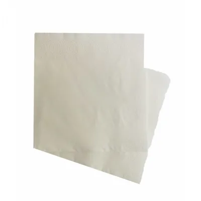 Салфетки бумажные в коробке Zewa Everyday, 2 слоя, 100 шт., цена – купить с  доставкой в официальном интернет-магазине Мираторг