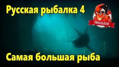 Крупный окунь на 5кг 960гр # Самая большая в мире пойманная Рыба - YouTube