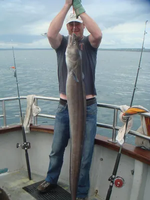 Возможно, установили мировой рекорд: во Франции поймали самую большую  золотую рыбку (фото, видео)