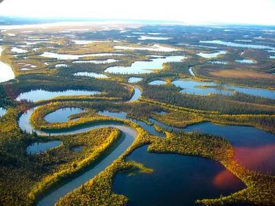 Длинная река в мире - фото и картинки: 64 штук