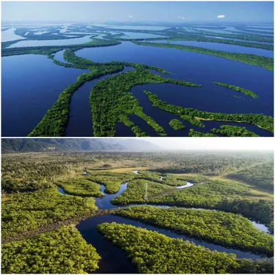 Амазонка, самая прекрасная и опасная река в мире | Сила Знаний | Дзен