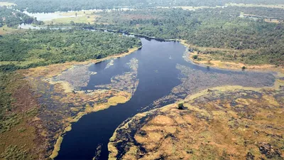 Амазонка: самая большая река в мире!» — создано в Шедевруме