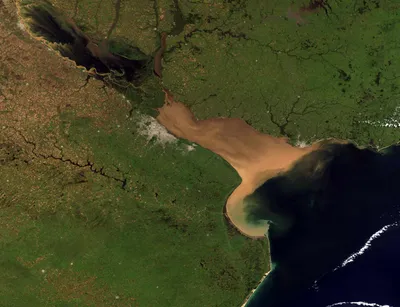 В Африке нашли самую темную реку в мире. Как она выглядит | РБК Life