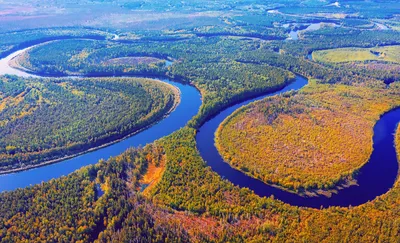 самая большая в мире китовая акула под водой, китовая акула и водолаз, Hd  фотография фото, вода фон картинки и Фото для бесплатной загрузки