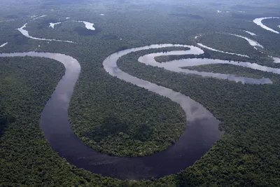 Река Амазонка - 76 фото