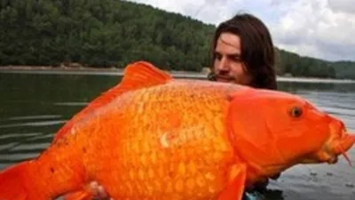 Самые опасные рыбы в мире от Mr. за 14.05.2021 09:14 на Fishki.net