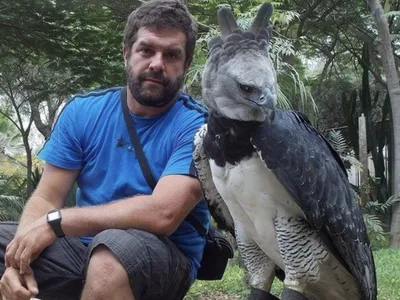 Павлин – самая красивая птица в мире | Пикабу