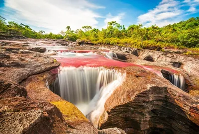 Каньо-Кристалес — самая красивая река на Земле | Пикабу