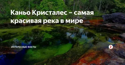 Beautiful Travel: Каньо Кристалес — самая красивая река в мире