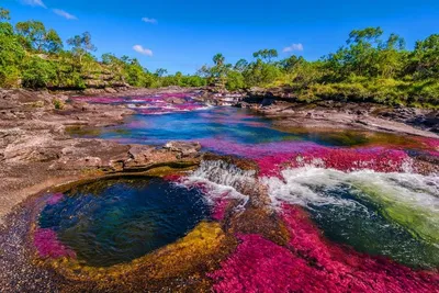 Каньо Кристалес» - самая красивая река в мире