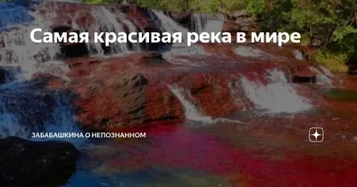 Наш прекрасный мир. - Самая прозрачная в мире река Верзаска, Швейцария. |  Facebook