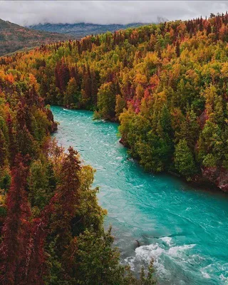 Самая красивая река в мире: река пяти цветов - Tochka.net