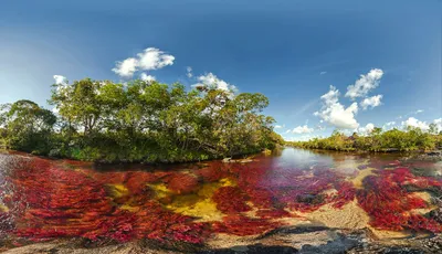 Река Каньо Кристалес Колумбия - 66 фото