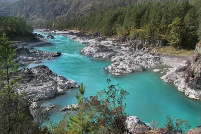 Каньо Кристалес - самая красивая река в мире. - General discussions -  Korean Random