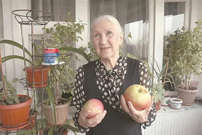 Самое большое яблоко | Открой Казахстан | Дзен