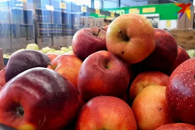 Мифы о яблоках | Новости Йошкар-Олы и РМЭ