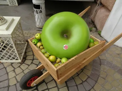 Самое большое яблоко в мире - YouTube