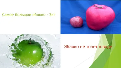 В Татарских Челнах выбрали самое большое яблоко | 20.08.2021 | Менделеевск  - БезФормата