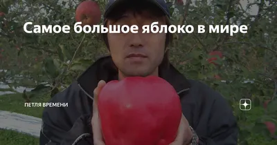 Самое большое яблоко в мире | Петля времени | Дзен