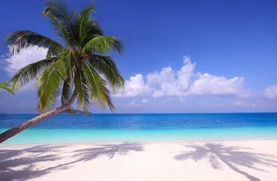 Мальдивы: лучшие места для отдыха | Vogue Russia