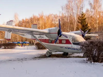 EE14437 Пассажирский самолёт Антонов Ан-14 Пчёлка (1/144) - купить с  доставкой по выгодным ценам в интернет-магазине OZON (1300021153)