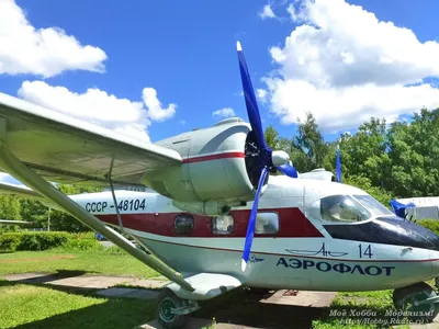 Легкий многоцелевой транспортный самолет Ан-14 \"Пчелка\". - Российская  авиация