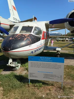 Свободнолетающая схематическая модель самолета Пчелка 2.0 купить в Воронеже.