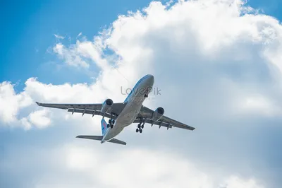 Остановите самолет — я слезу! | Гражданская журналистика