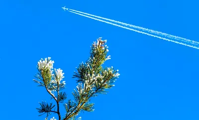 вид крыла самолета из окна на облачном небе на фоне земли Стоковое  Изображение - изображение насчитывающей отключение, муха: 224250747