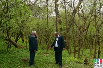 Самурский лес: достопримечательность Дагестана