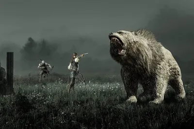 Самые крупные медведи, добытые охотниками в России | В когтях у хищника |  Дзен