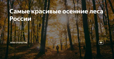 Буковые леса Крыма