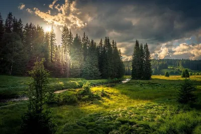 Пейзаж. Островки леса, парящие в …» — создано в Шедевруме