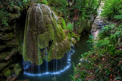 Вид на лес - красивые фото