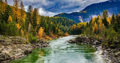 Самые красивые и загадочные леса Земли (ФОТО) » Новости Украины и мира