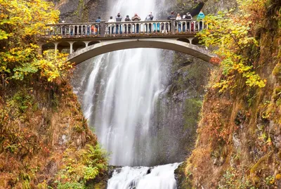 Самые красивые водопады (55 фото)