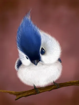 Самые невероятно-красивые птицы, в существование которых сложно поверить! -  YouTube