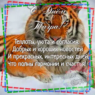 Самые редкие тигры - картинки и фото koshka.top