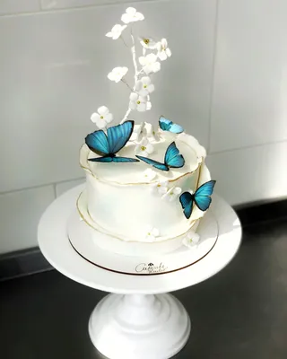 1️⃣ Торты на заказ на День Рождения - Дом десертов «MUS-MUS»