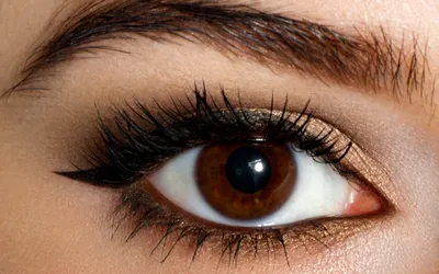 Какой цвет глаз считается самым красивым и сексуальным в мире - 24 января  2023 - v1.ru