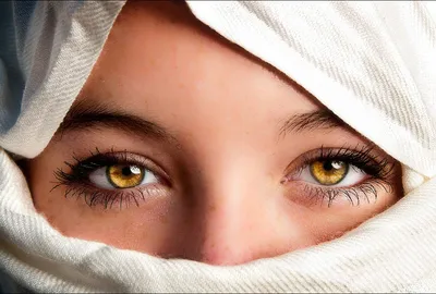 Какой цвет глаз самый редкий в мире? «Ochkov.net»