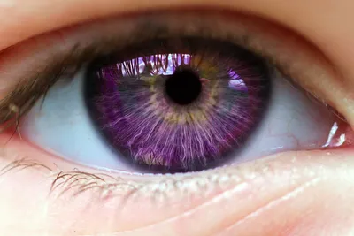 Какой цвет глаз самый редкий и почему? Объясняет врач | Вокруг Света