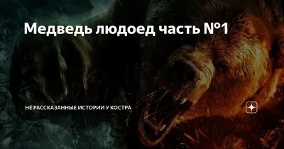 Тверской путешественник рассказал о встрече с медведем-каннибалом