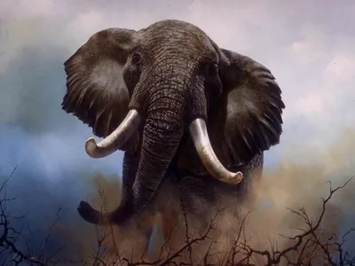 А сколько же весит самый большой слон в мире?