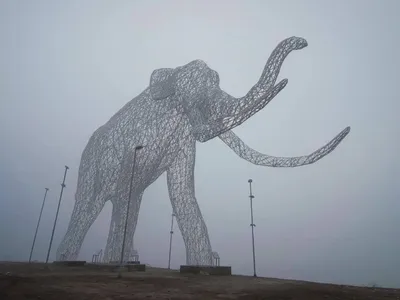 Самый большой слон - 62 фото