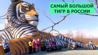 Самый лучший в мире папа и муж - тигр - метрика - постер - подарок папе