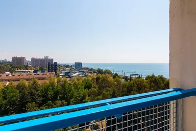Отдых на Черном море 2021 недорого, дешевый отдых на Черном море | Пансионат  «Дельфин» Адлеркурорт