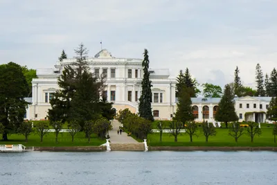 Санаторий МАРЬИНО (Дворцово-парковый ансамбль), Россия, Курская область -  «Когда-то давно тут жили князья Барятинские. Красивая природа, чистый  воздух. Поехали на ЭКСКУРСИЮ!» | отзывы