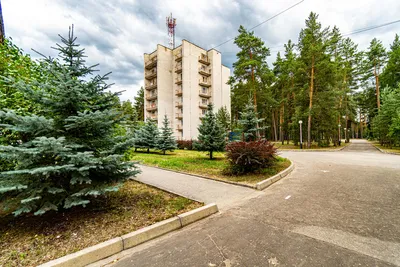 Санаторий «Русский лес» | Владимирская область | Владимир - официальные  цены на 2024 год
